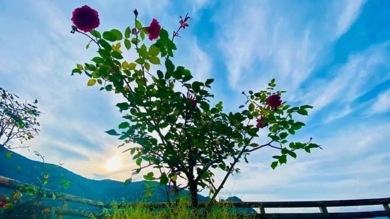 Ha Lu Homestay Lào Cai Kültér fotó